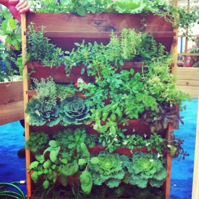 20+ Vertical Vegetable Garden Ideas