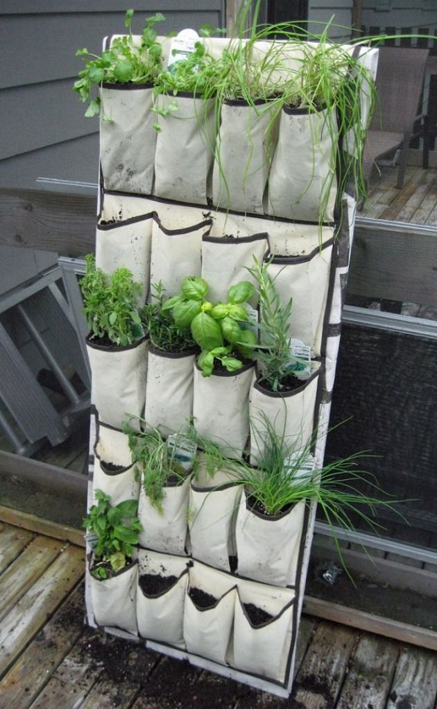 10+ DIY Vertical Garden Ideas