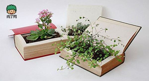 10+ Creative Plant Pot Ideas