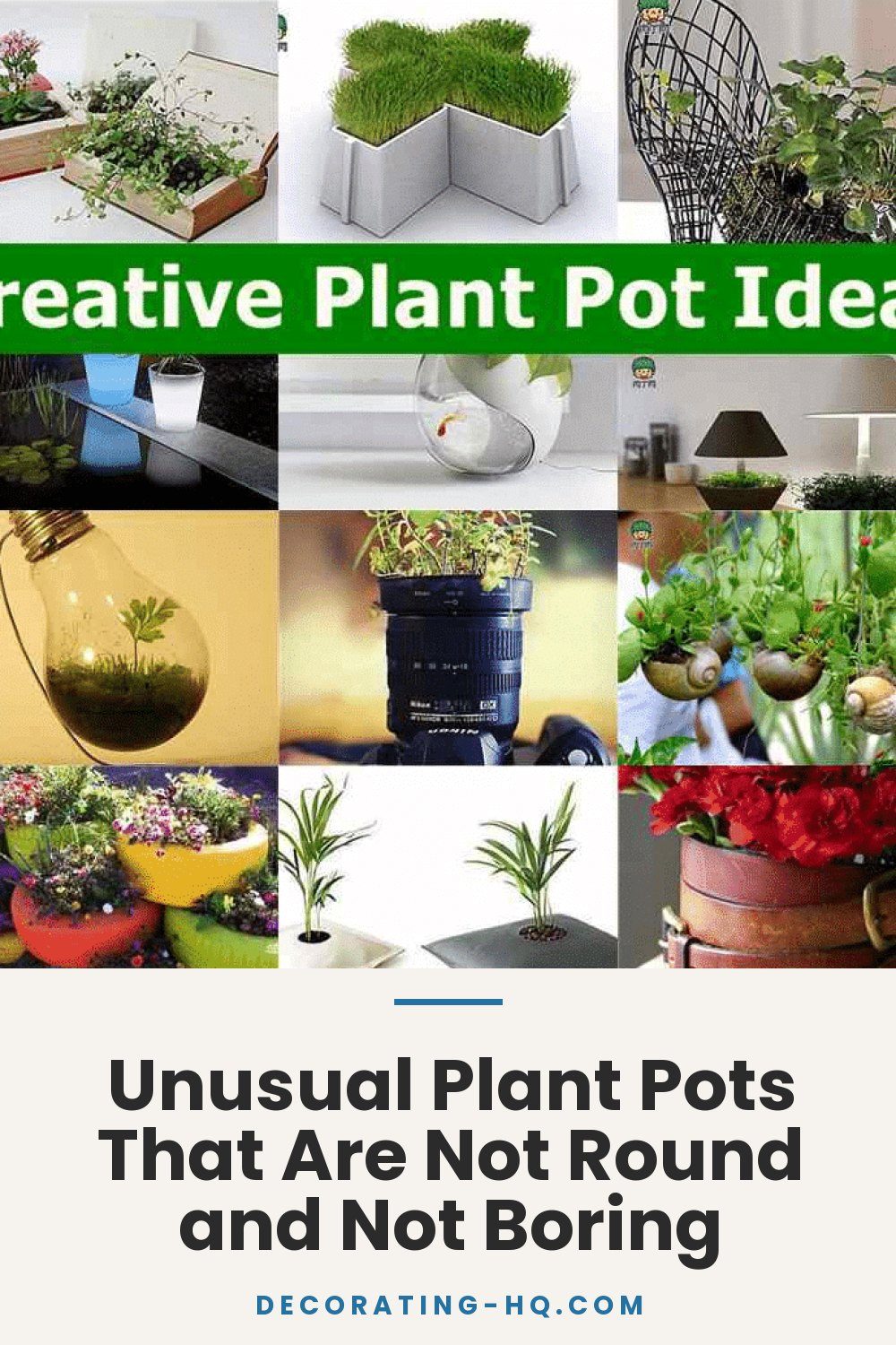 Unusual Plant Pots That Are Not Round and Not Boring
