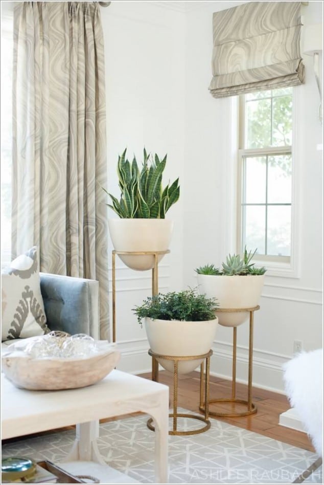 Creative Ideas How To Display Your Indoor Plants