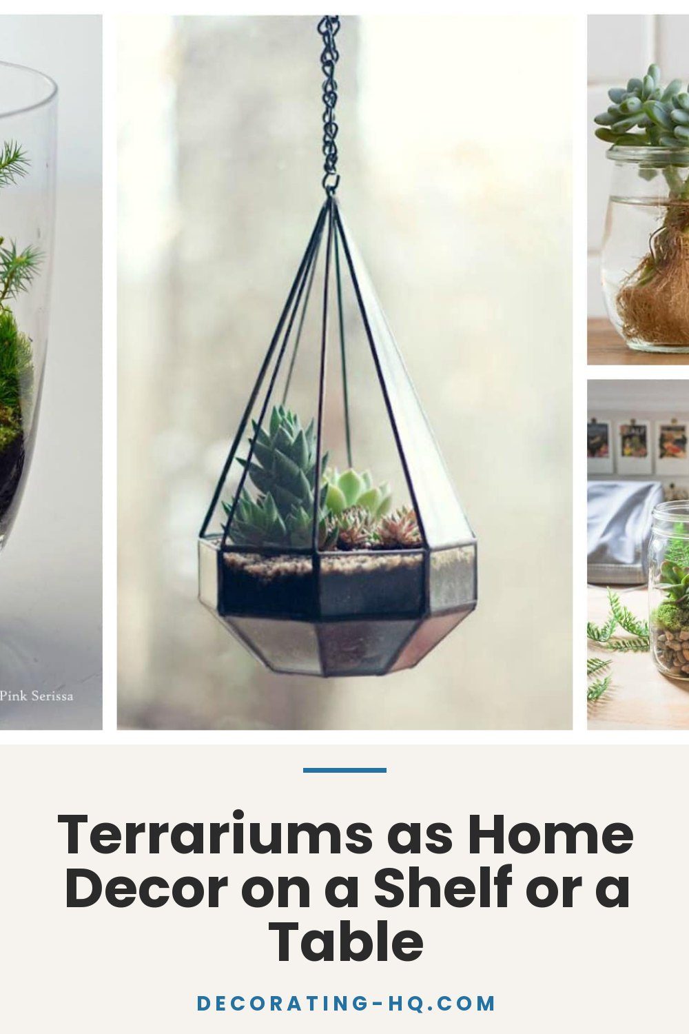 Terrariums as Home Decor on a Shelf or a Table
