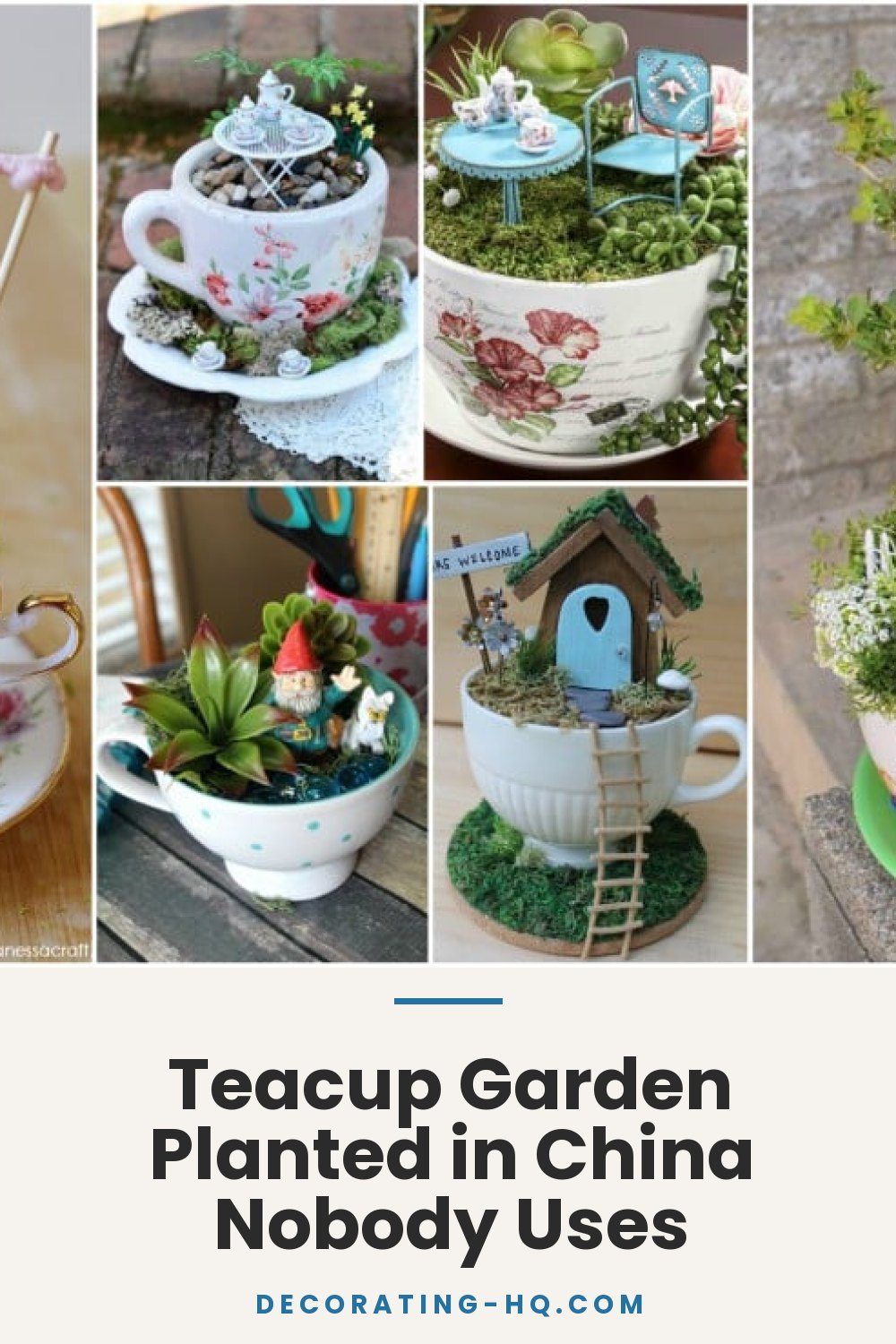 Teacup Garden Planted in China Nobody Uses