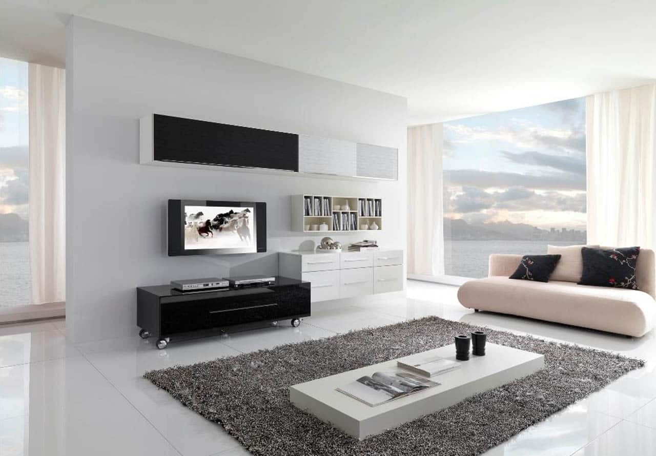 15+ Wonderfull Black and White Interior Designs