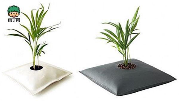 10+ Creative Plant Pot Ideas