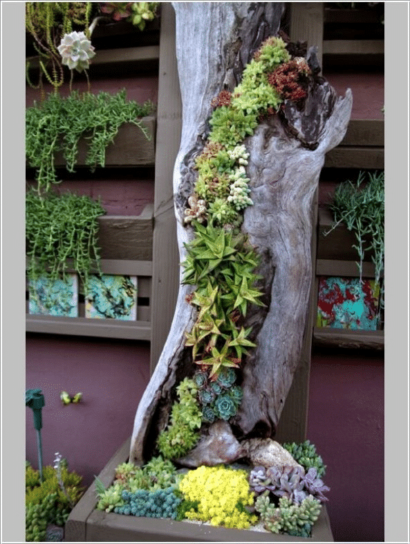 10+ DIY Vertical Garden Ideas