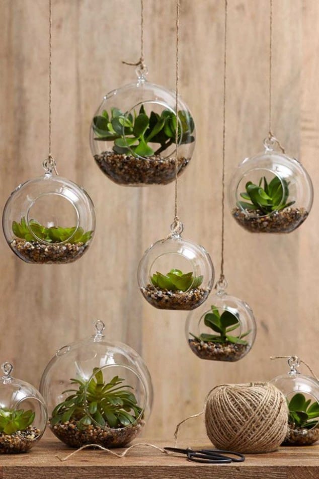 Creative Ideas How To Display Your Indoor Plants