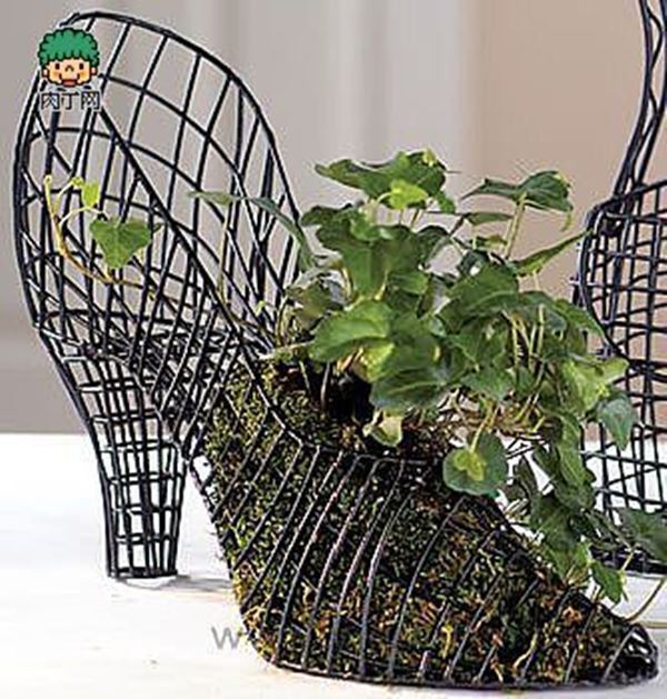 10+ Creative Plant Pot Ideas