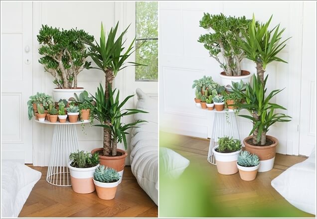 Creative Ideas How To Display Your Indoor Plants