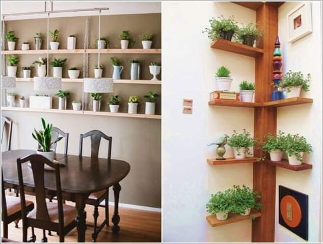 Creative Ideas How To Display Your Indoor Plants