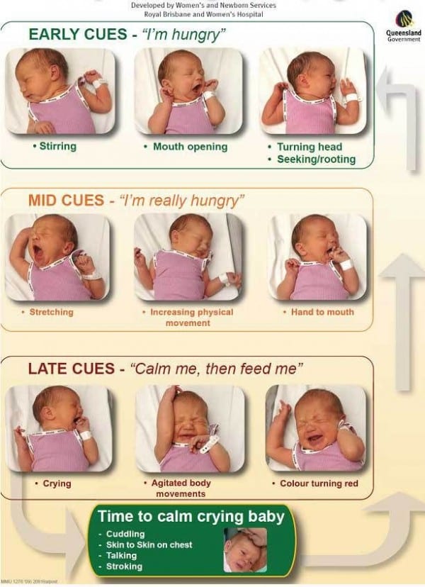 Baby Tips 1