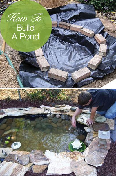 15+ DIY Backyard Pond Ideas