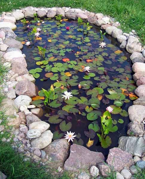 15+ DIY Backyard Pond Ideas