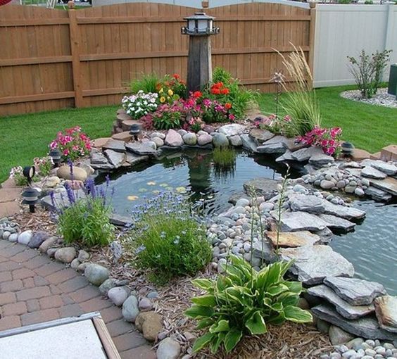 Backyard-Pond-19