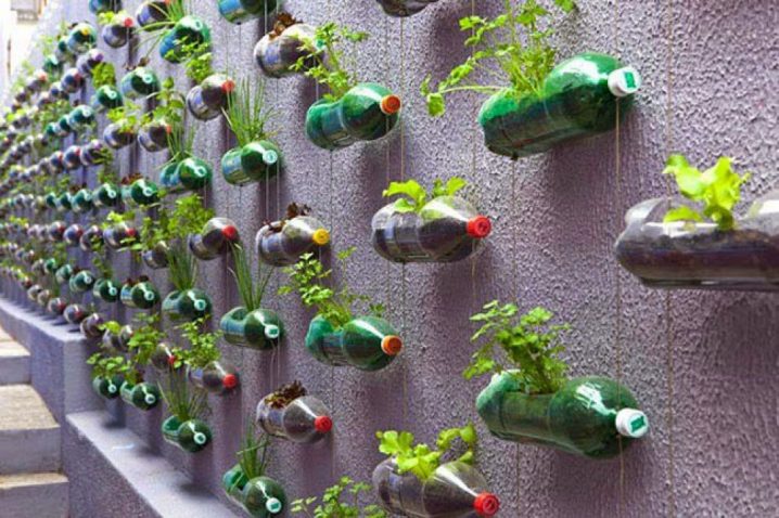 Balcony Planters 10