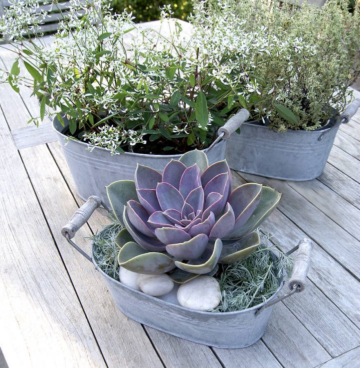 Balcony Planters 4