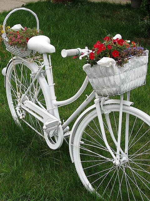 20 Awesome Bicycle Planter Ideas