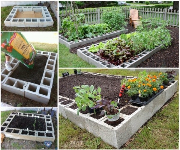 DIY Cinder Block Raised Garden Bed
