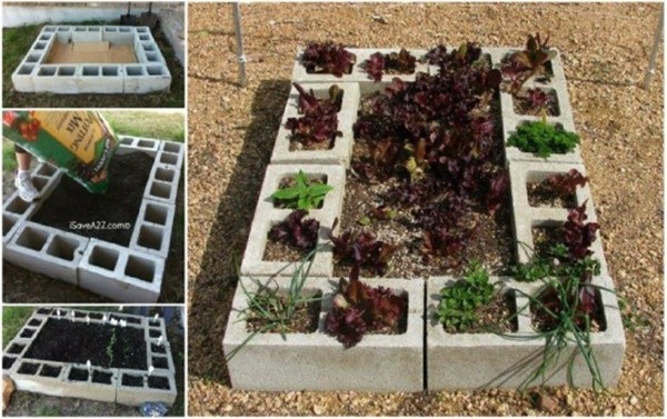 DIY Cinder Block Raised Garden Bed2