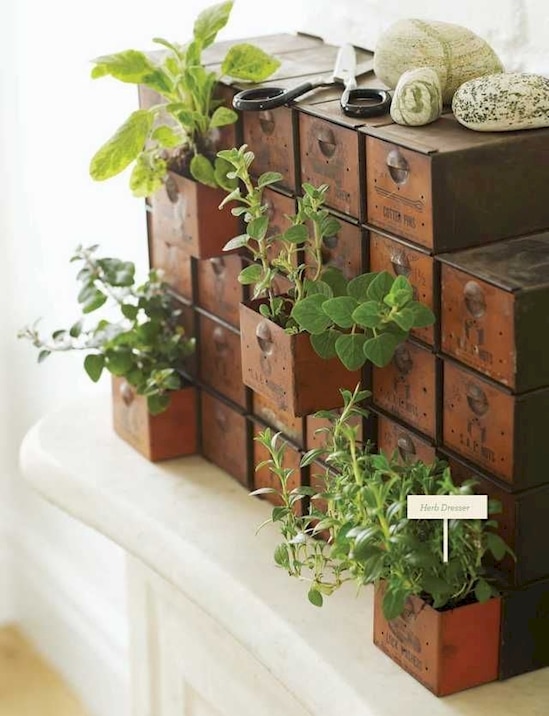 15+ DIY Containers For Planting