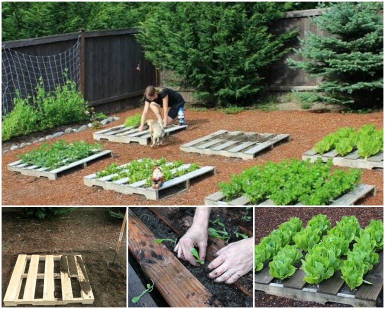 DIY Recycled Pallet Garden Planting Tutorial