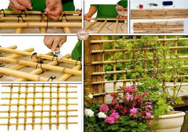 10+ DIY Trellis Ideas For You Garden