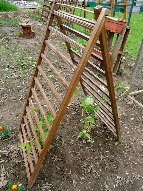 10+ DIY Trellis Ideas For You Garden