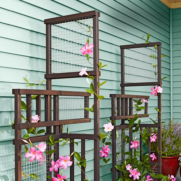 10+ DIY Trellis Ideas For You Garden