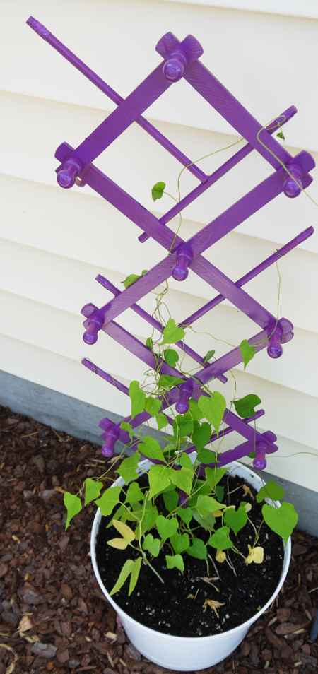 10+ DIY Trellis Ideas For You Garden