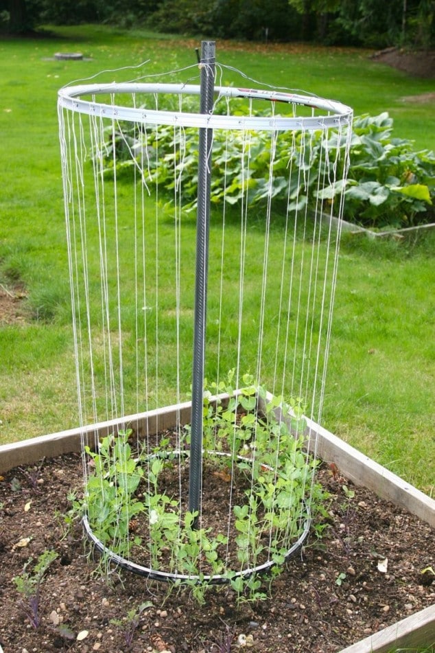 10+ DIY Trellis Ideas For You Garden