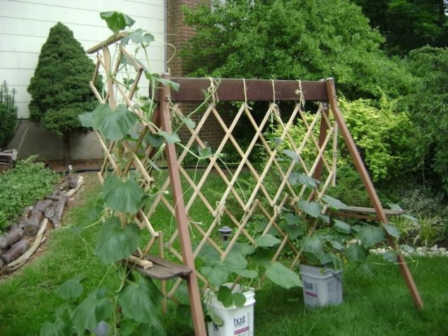 10+ DIY Trellis Ideas For You Garden