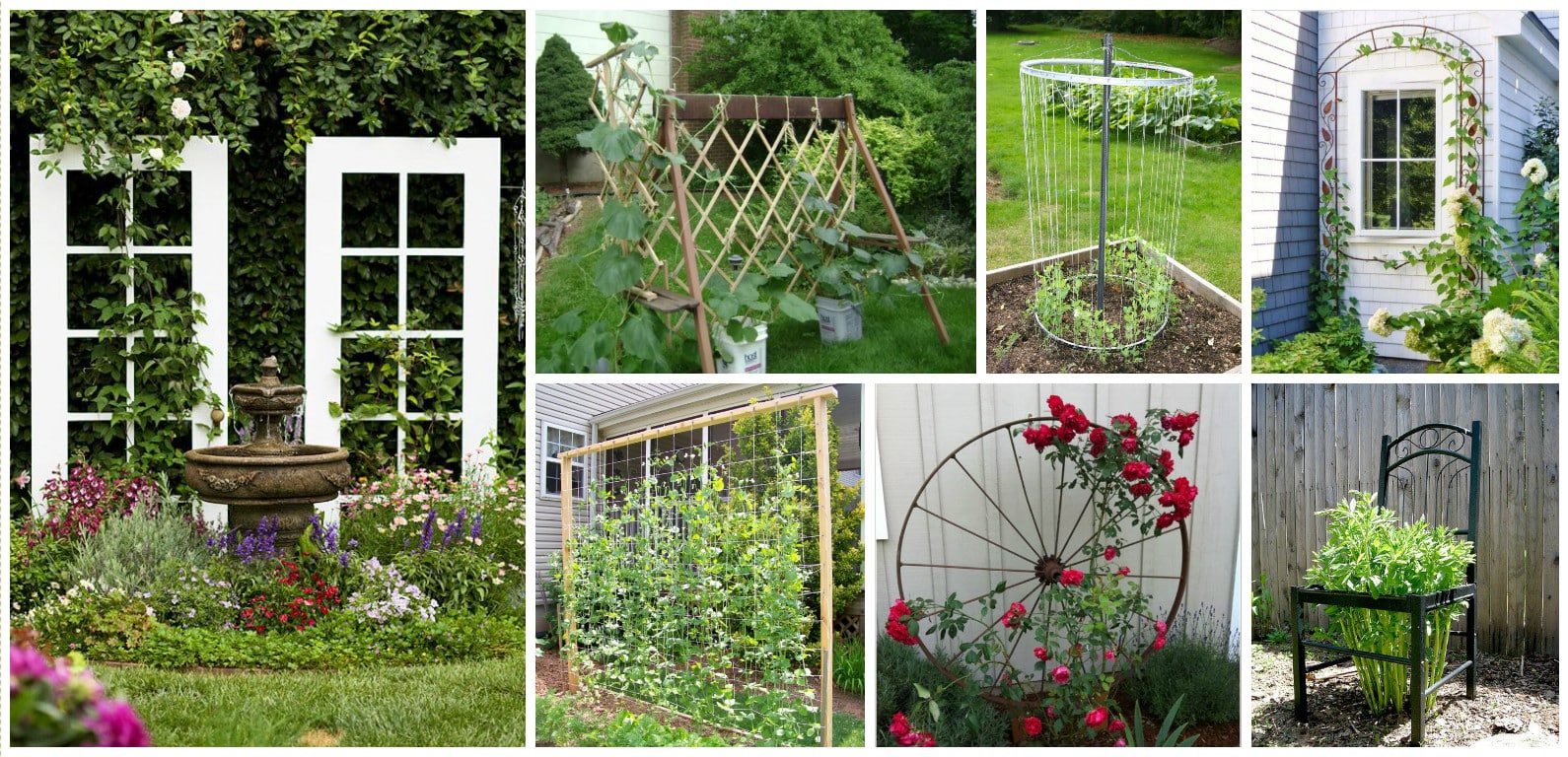 DIY Trellis Ideas for garden