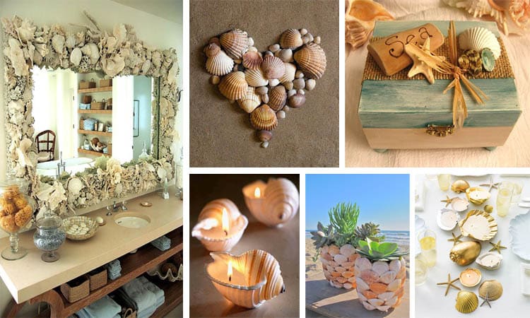 DIY crafts seashells