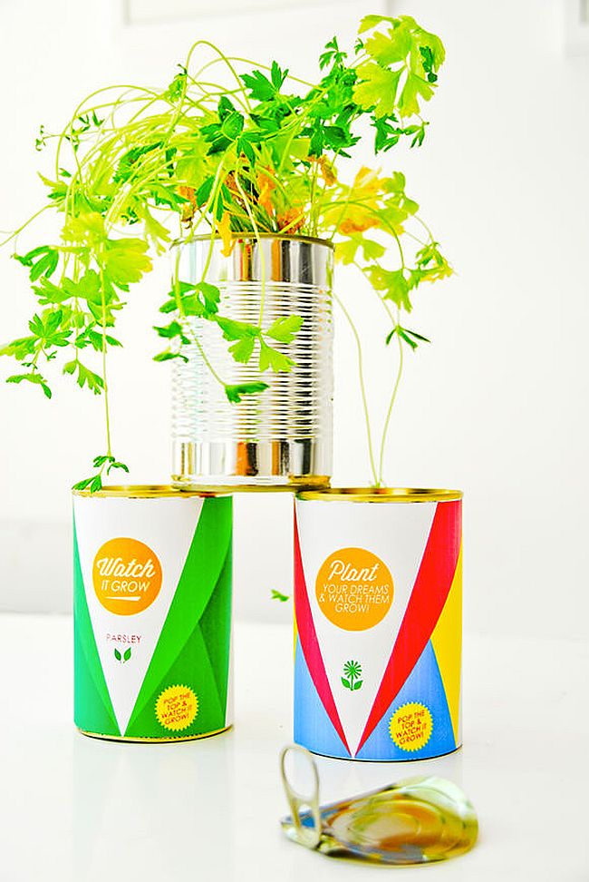 DIY herb garden from upcycled tin
