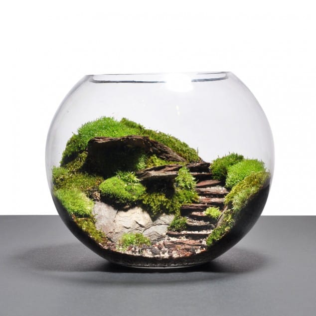 15 Miniature Terrariums Masterpieces