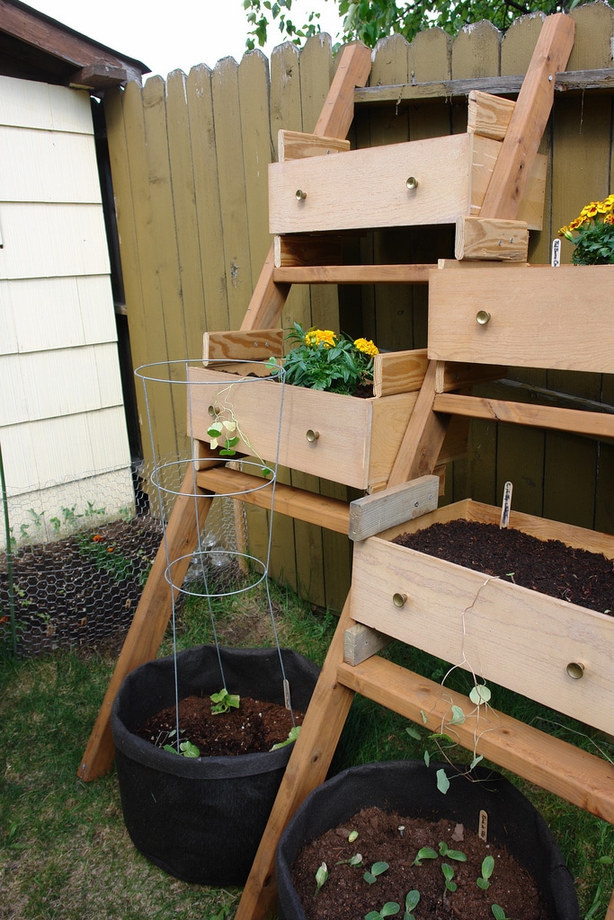 Drawers used as plantpots by Flickr
