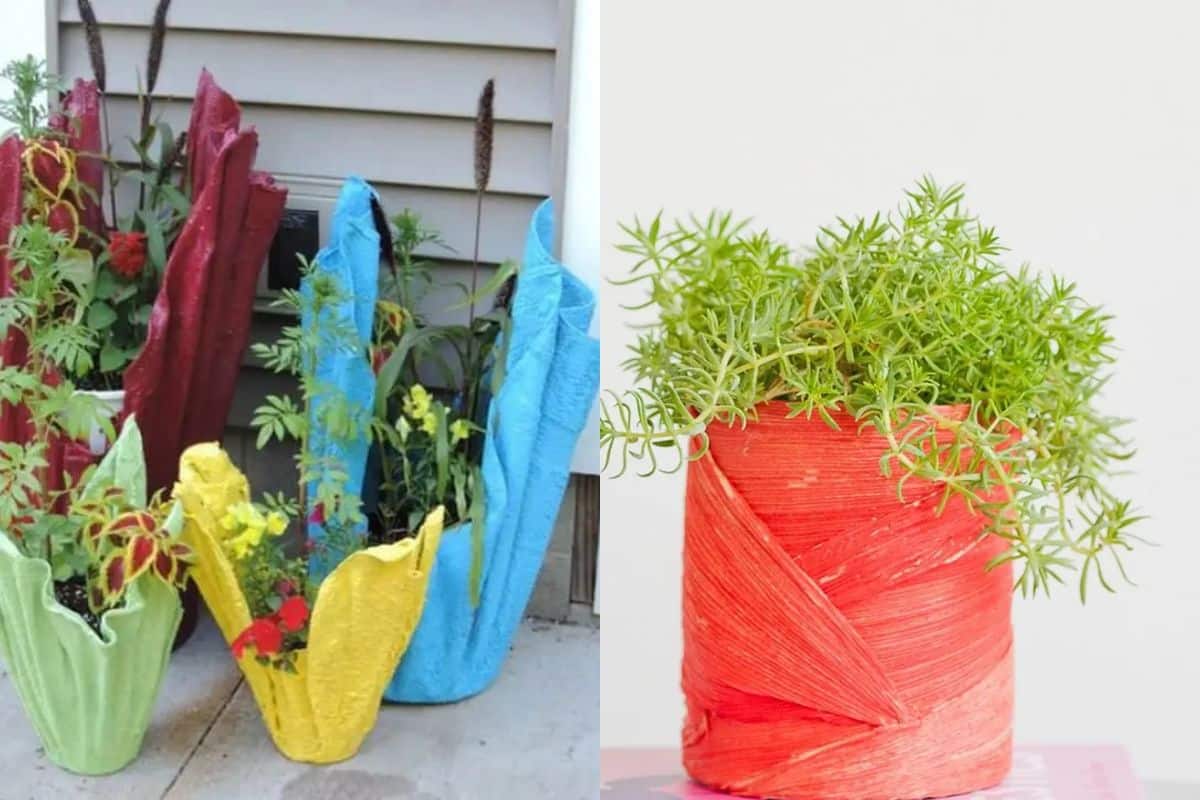 Easy Planter Ideas For Summer