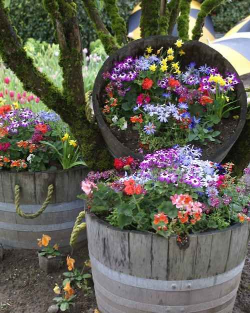 17+ Inspiring Flower Planters