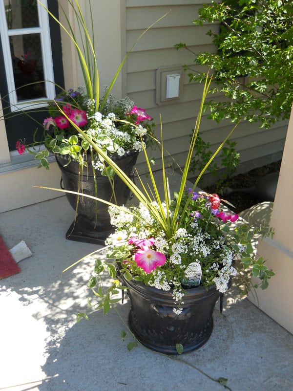 15 Gorgeous Front Door Flower Decorations