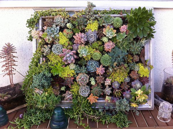 10+ DIY Vertical Garden Ideas