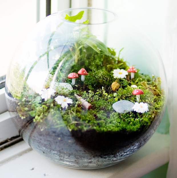 How to Make a Terrarium Take a Look at these 10 Adorable Ideas diy moss mushrooms gnomes succulents easy diy cute indoor garden container8