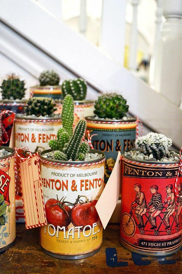 15+ Awesome Mini Cactus Gardens