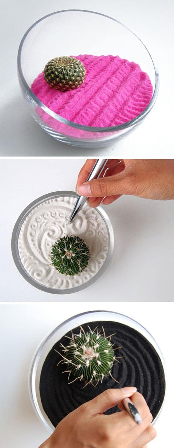 15+ Awesome Mini Cactus Gardens