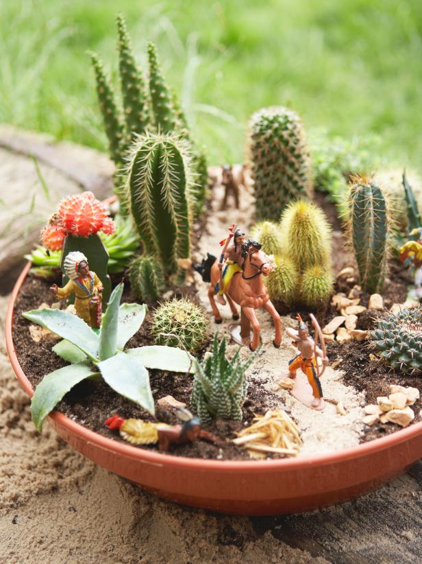 15+ Awesome Mini Cactus Gardens