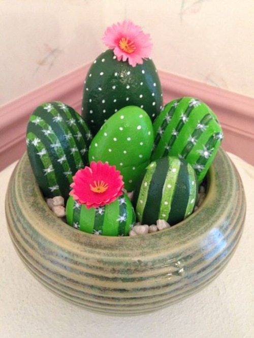 Mini-Cactus-Gardens-7