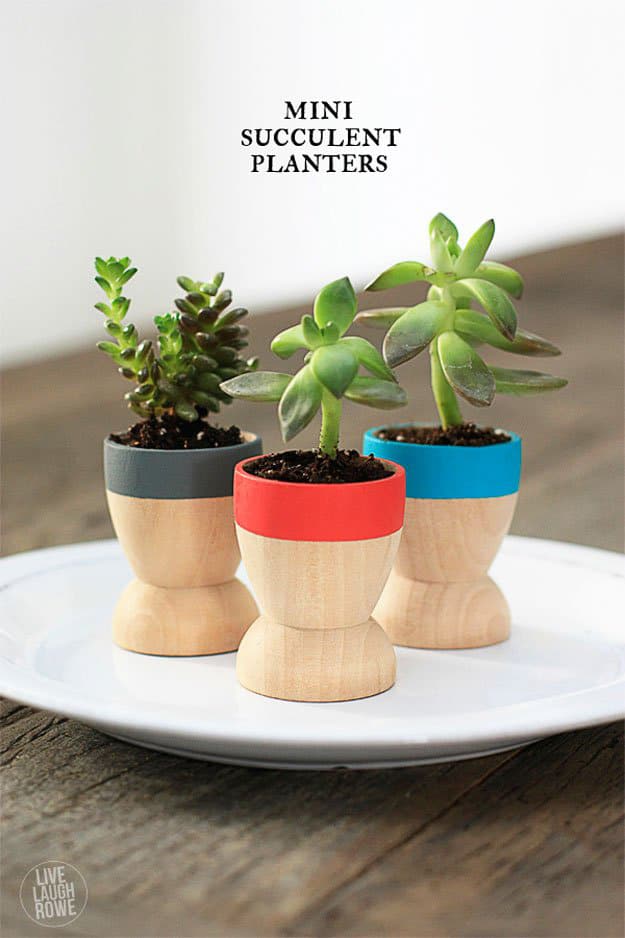 Mini Succulent Planters