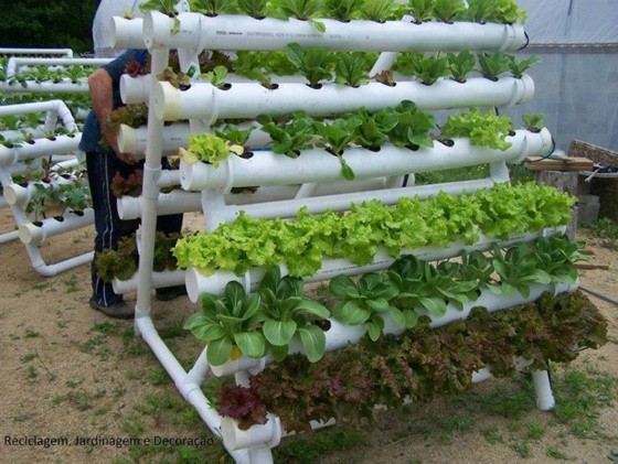 PVC Gardening Ideas and Projects PVC Verticle Planter