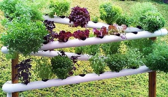 PVC Gardening Ideas and Projects PVC Verticle Planter2