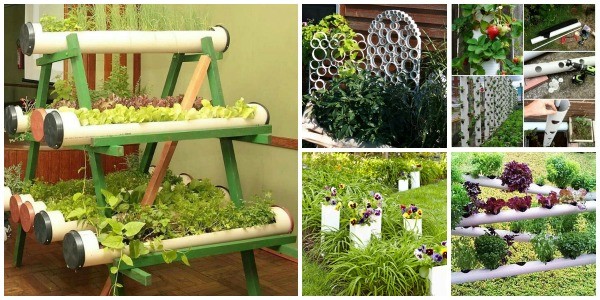 8 Diy Pvc Gardening Ideas And Projects