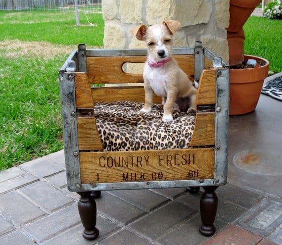 30+ Brilliant Pet Bed DIY Ideas